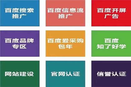竞价广告的创意与执行：某快消品的营销突破